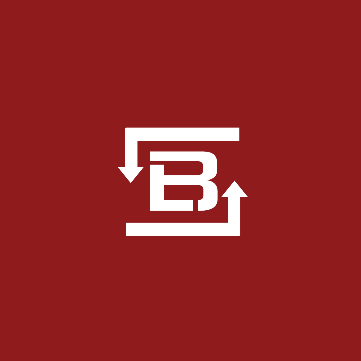 brunswick letip alternate logo graphic
