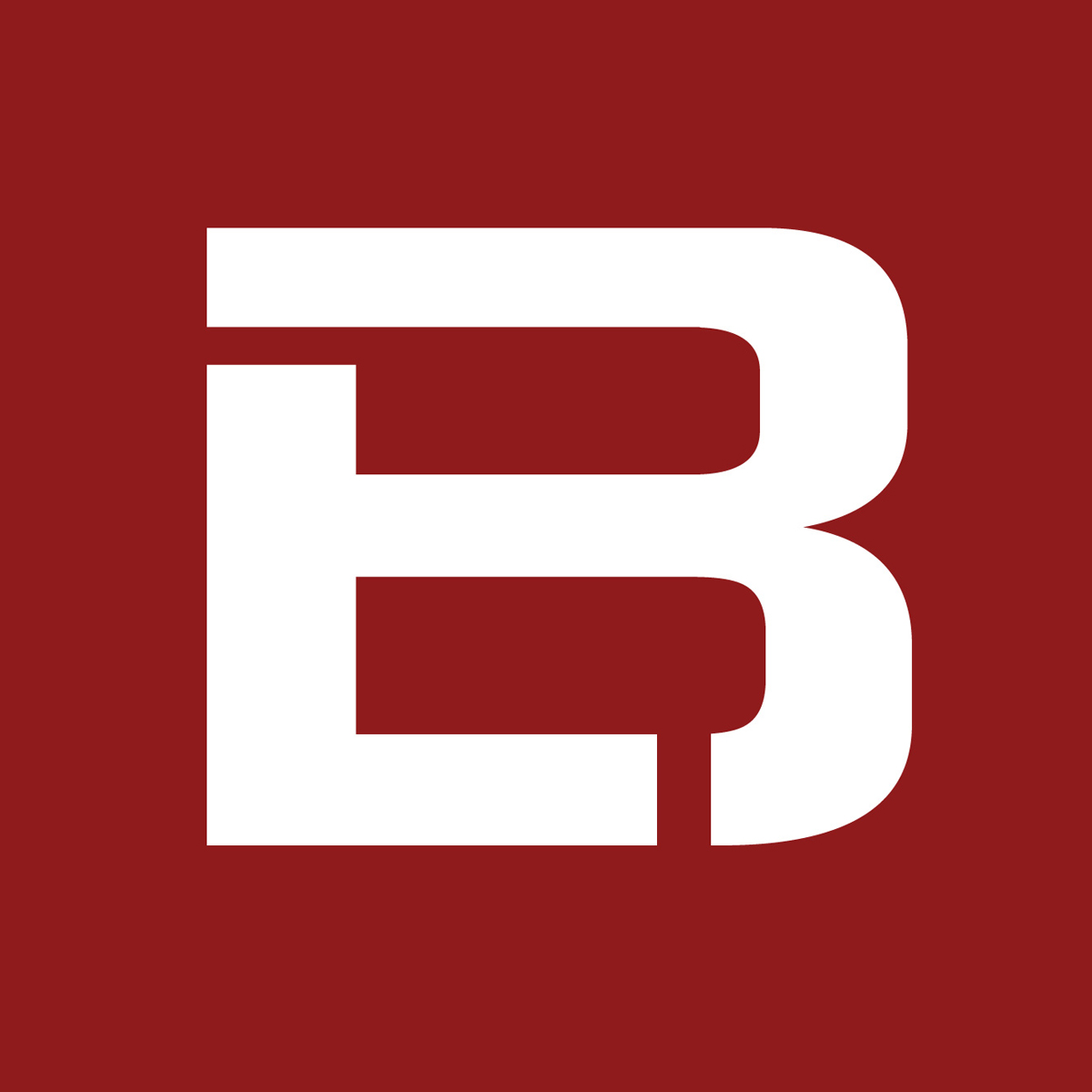 brunswick letip logo identity