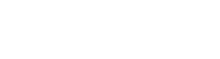 website launch